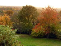 /album/parks-etc/trees-2-jpg/